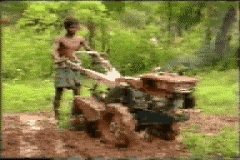 VIDEOS SWF GIF PREVENCION  CAMPO (1)